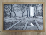Illuminated Picture LED Decorative Light - SuperGlim
