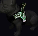 Dog Leash Vest Pet Harness Bullfight - SuperGlim