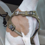 Pet Safety Buckle Car Supplies - SuperGlim