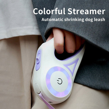 Retractable Leash And Dog Collar Spotlight - SuperGlim