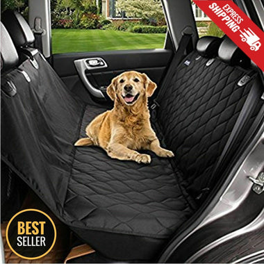 Stoelhoes Achter Achter Auto Hond Reizen